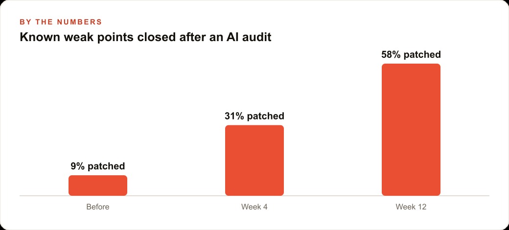 Known weak points closed after an AI audit